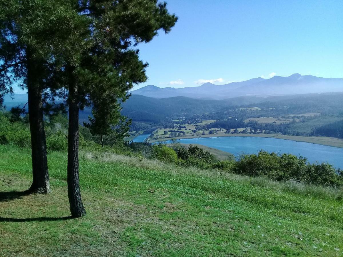 Wild Fig Cottage Sedgefield Bagian luar foto